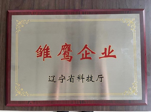 辽宁省科技厅-雏鹰企业